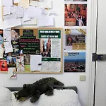 파브리찌오 쁘띠 바르셀로나