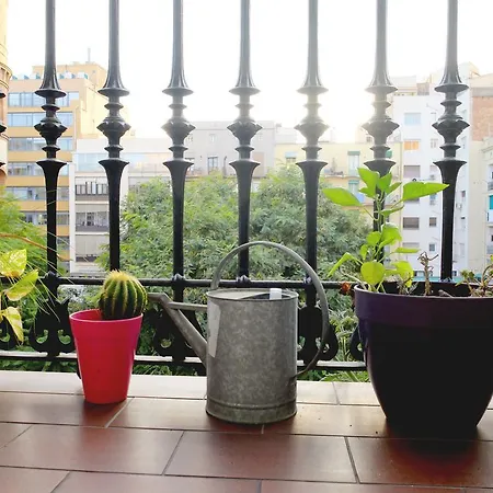 Fabrizzio's Petit Hostel